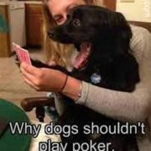 Meet your Posher, Christie